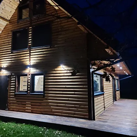 Holiday home Lesny Wyraj