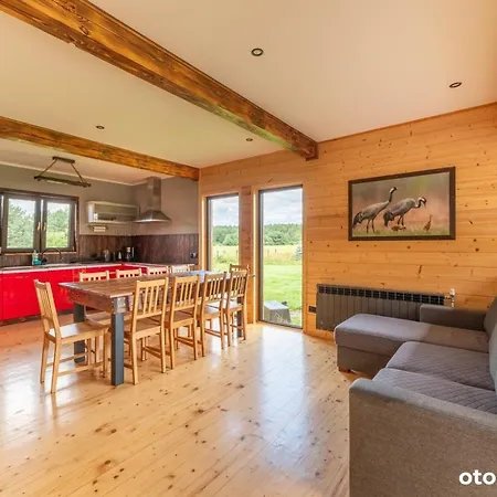 Leśny Wyraj Nowe Borsuki (Pultusk)