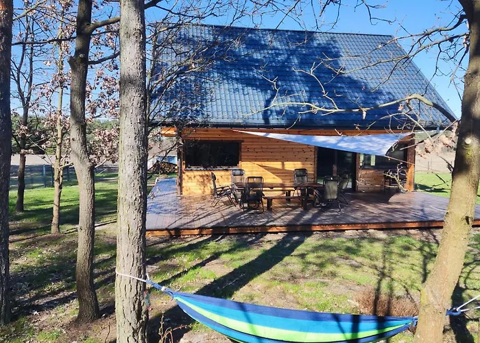 Lesny Wyraj Nowe Borsuki (Pultusk)